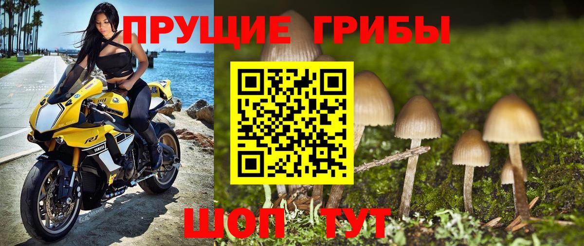 Галлюциногенные грибы мицелий  Псилоцибиновые грибы Psilocybe  Советск  Вход с VPN 