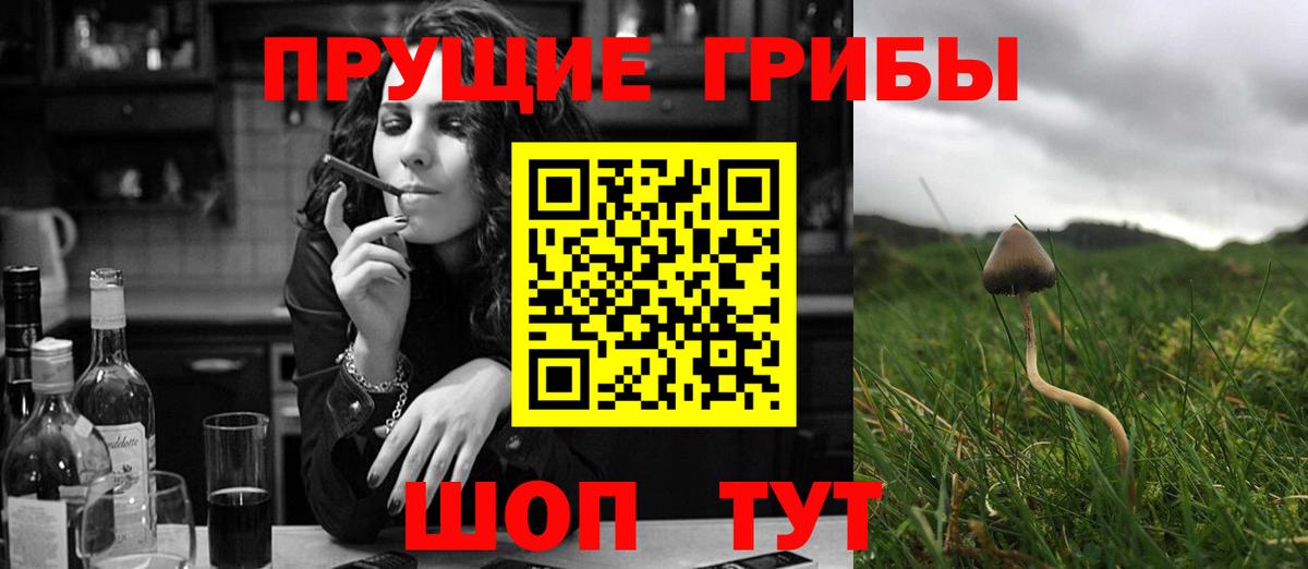 Галлюциногенные грибы мицелий Советск